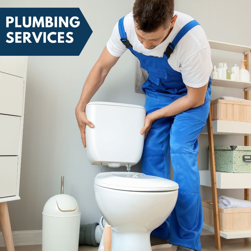 Plumbing Company in Williamson, IA